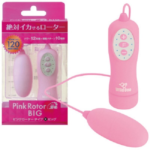 ݸ۰ Type-R BIG