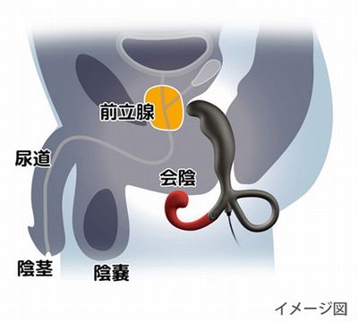 ENEMABLE エネマブル