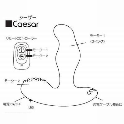 前立腺・会陰部刺激リモコンアナルバイブ