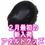 2月最初の新入荷アダルトグッズ